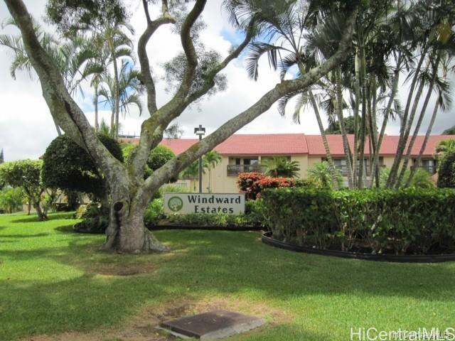 a view of a yard with plants and a large tree