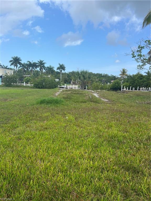 a view of an ocean from a yard