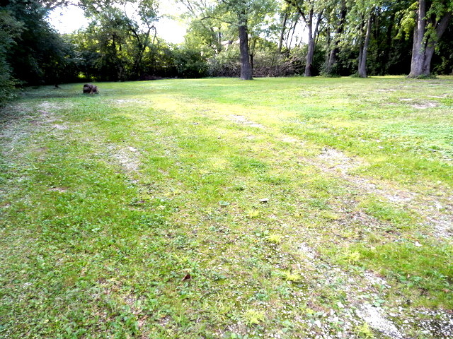 a view of an outdoor space and a yard