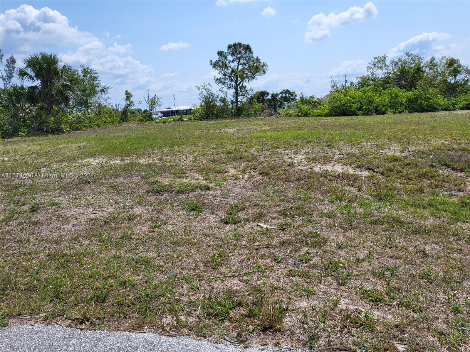 a view of a field with an trees