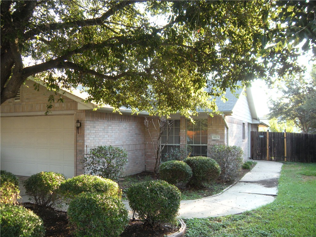 a view of a house with a large tree and a plant