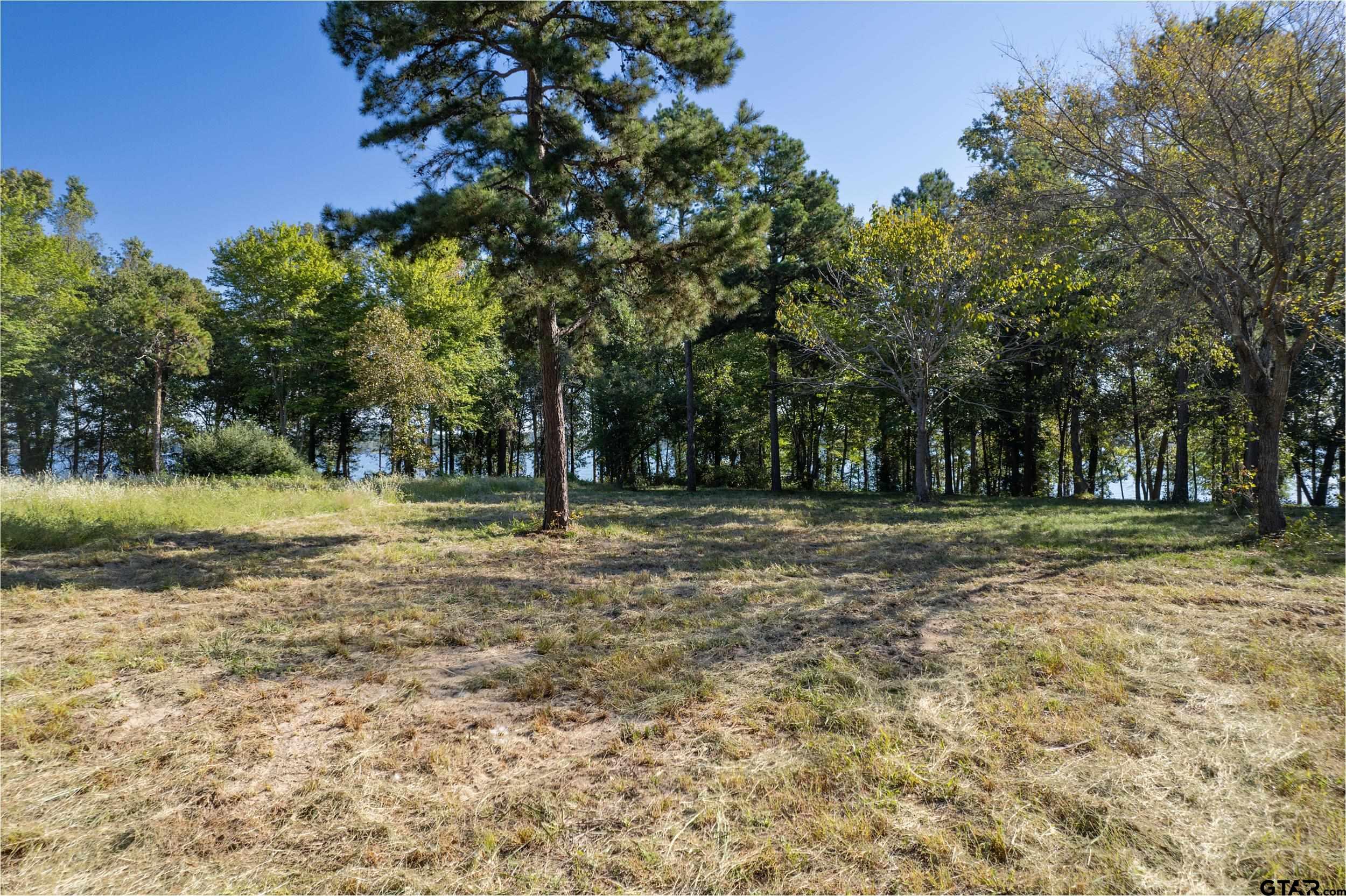 a view of outdoor space with trees