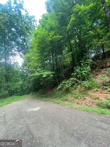 $12,555 | 0 Hiawassee Court | Buckhorn