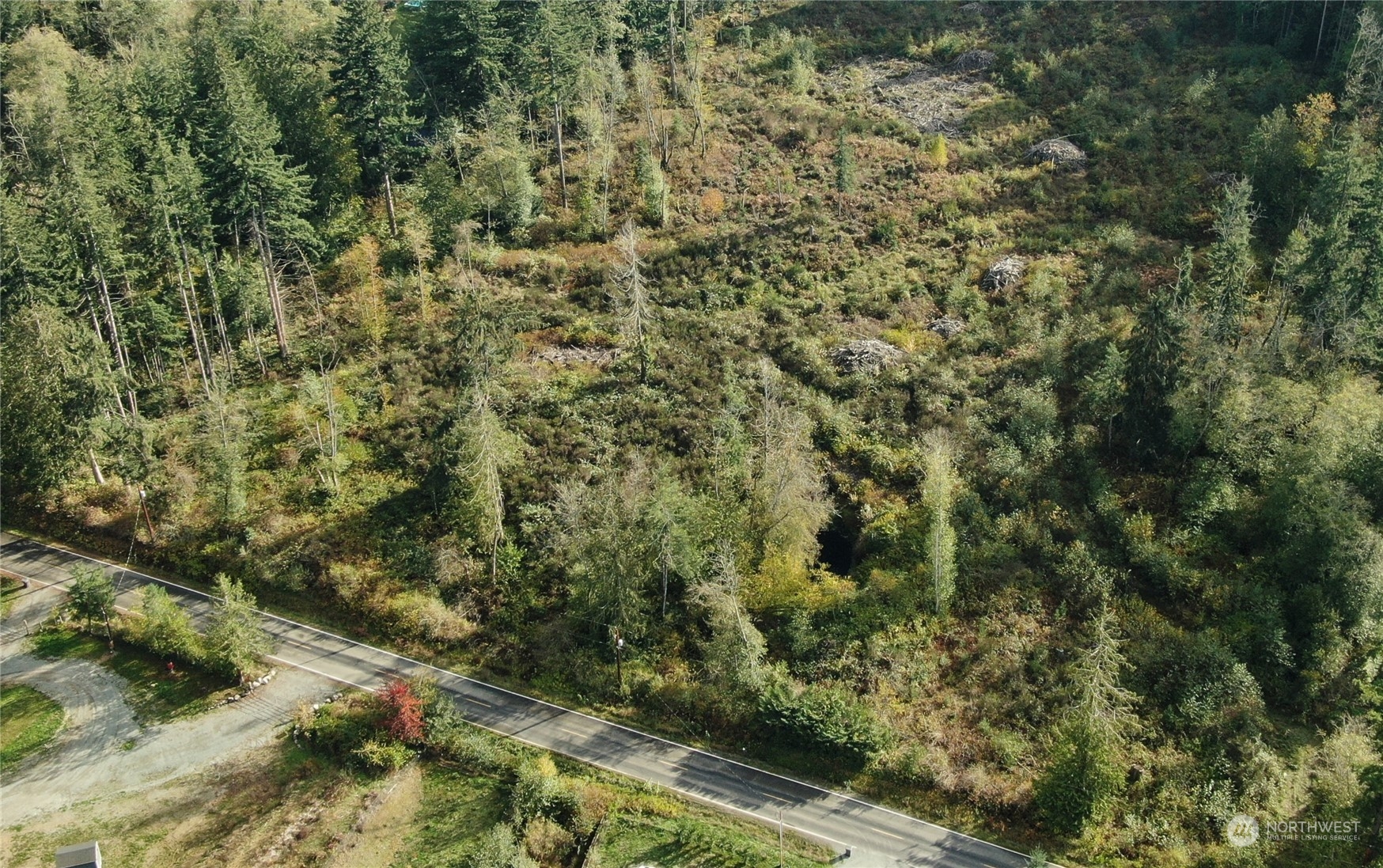 a view of a forest with houses