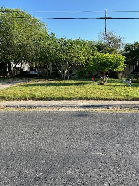 a view of a garden