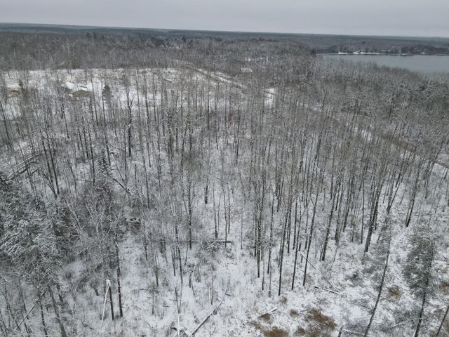 $54,900 | Forestry Rd Forestry Road | Balsam Township - Itasca County