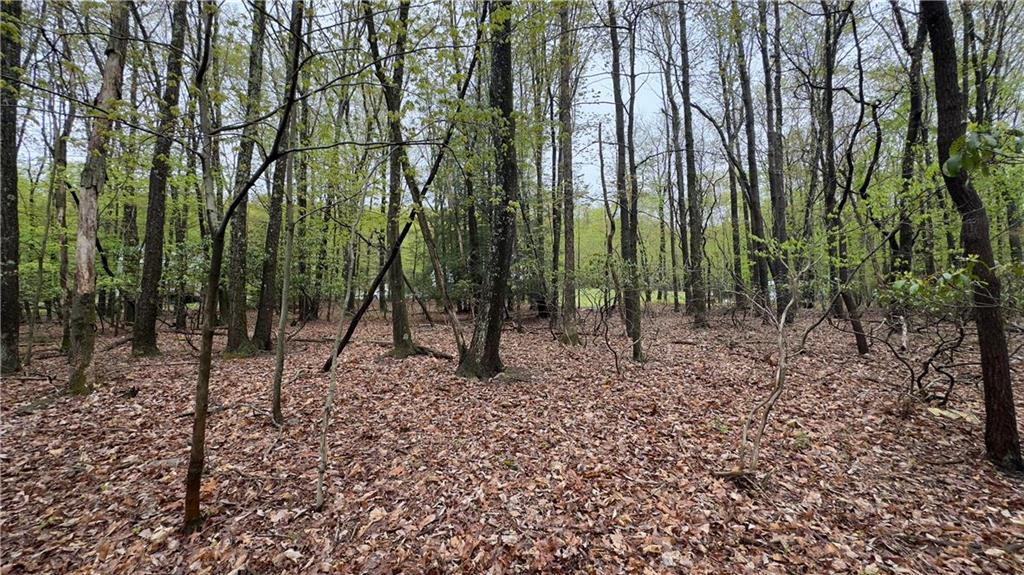 a view of outdoor space with lots of trees