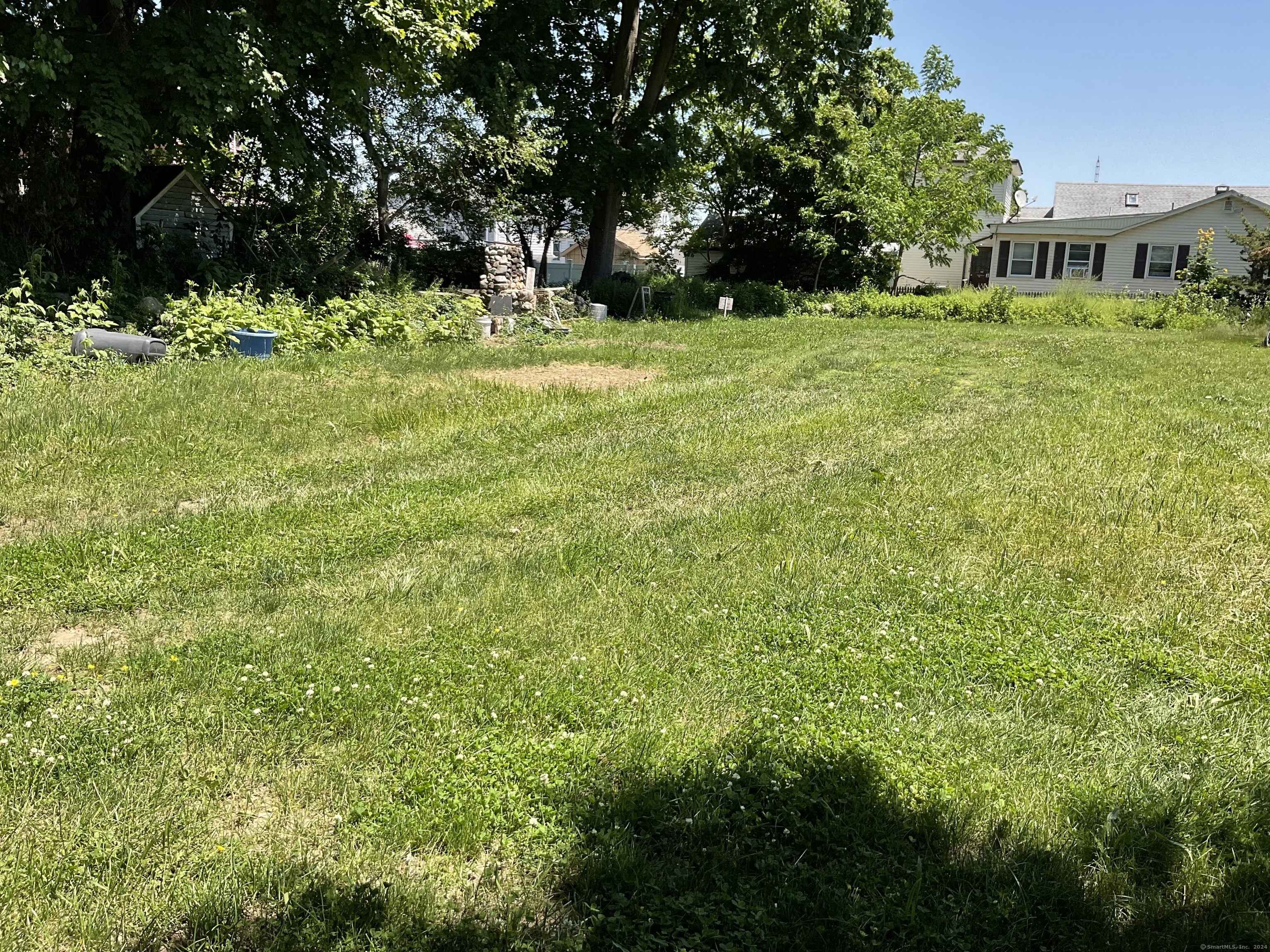 a view of a big yard with plants and large trees