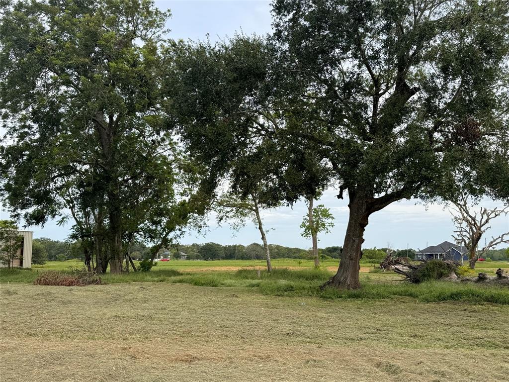 a view of a trees with a yard