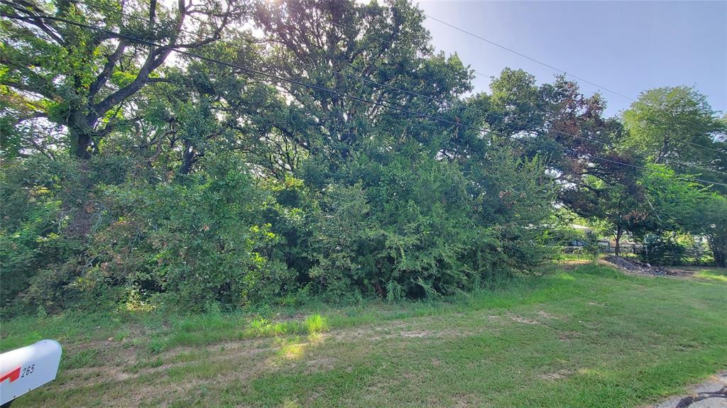 a view of a lush green space