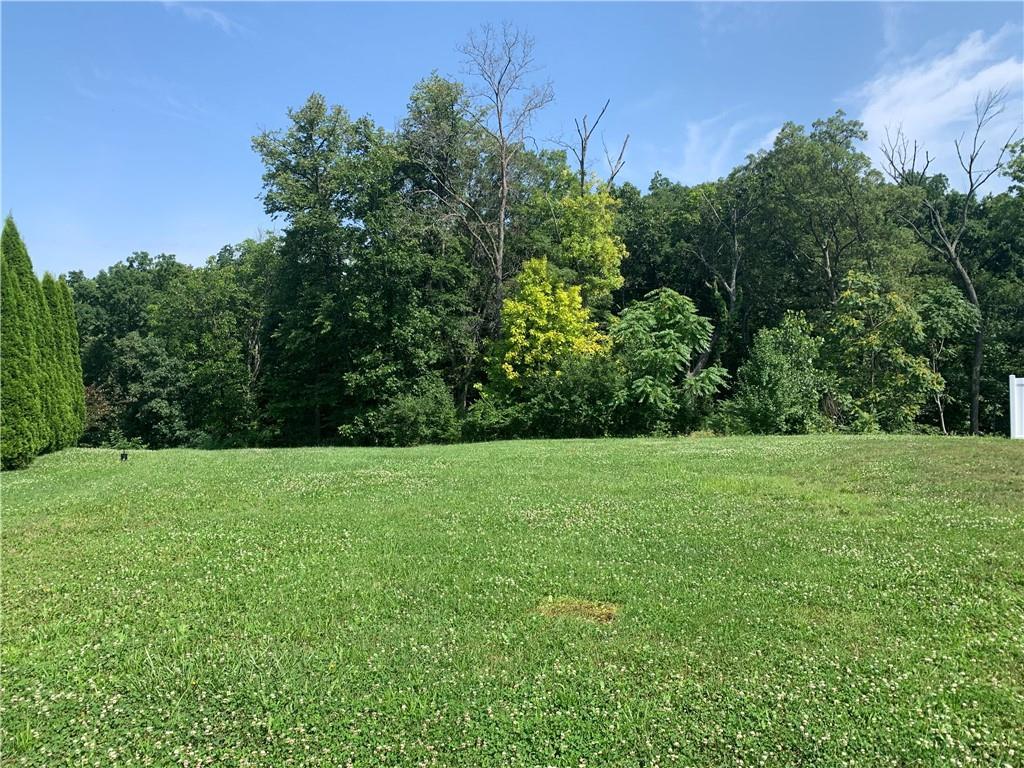 a view of a lush green space