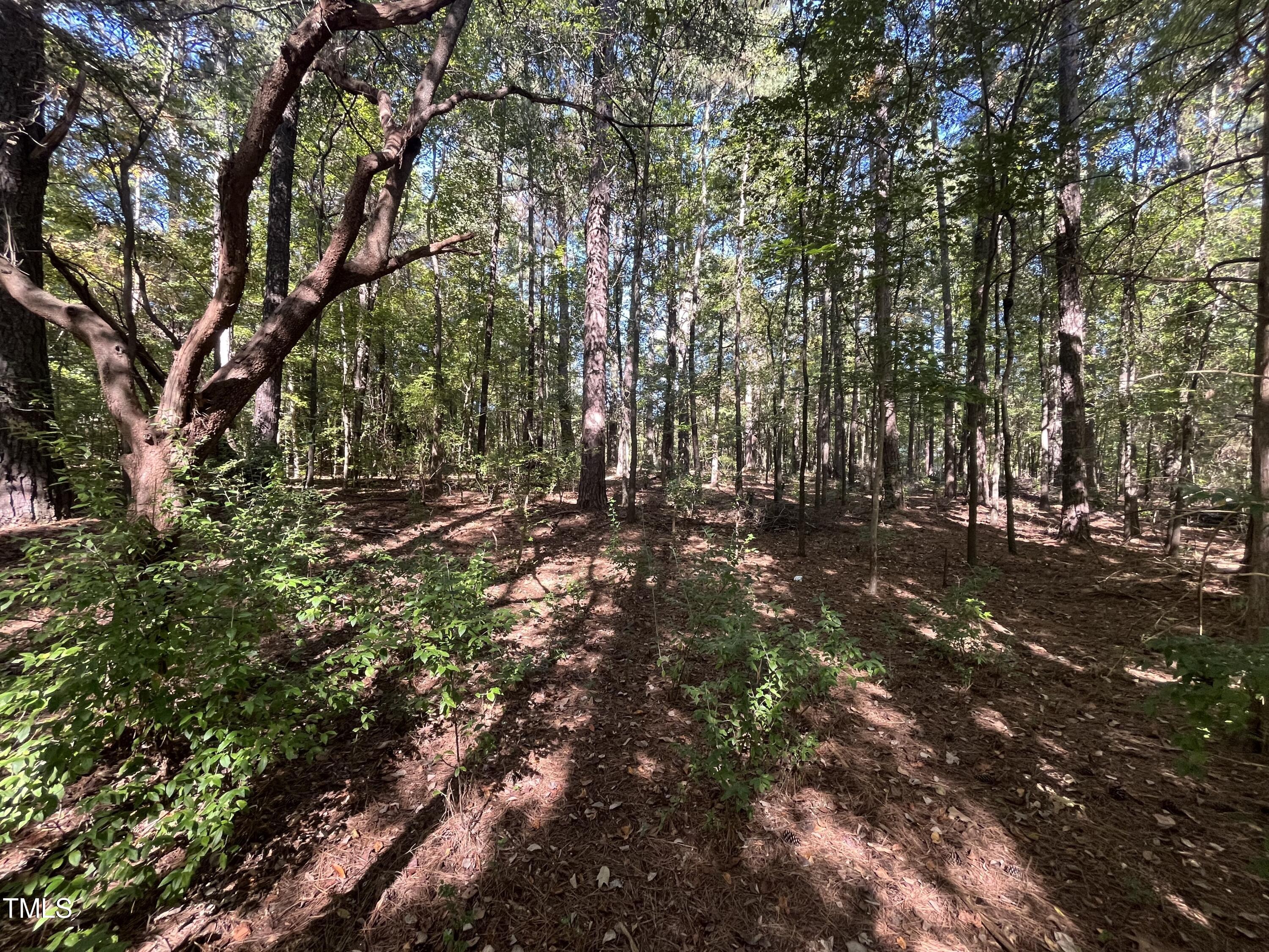 a view of outdoor space with trees