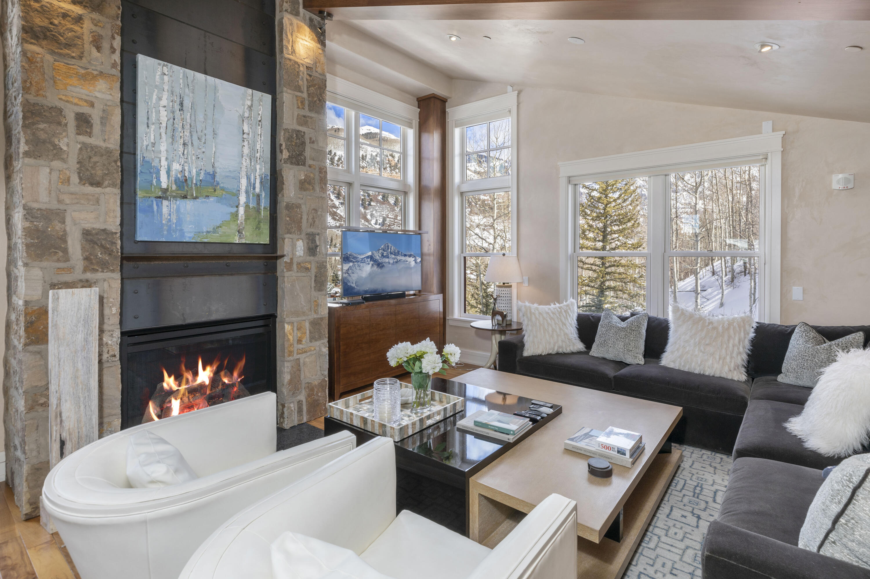 398 South Davis Street, Unit E7, Telluride, CO 81435 | Compass