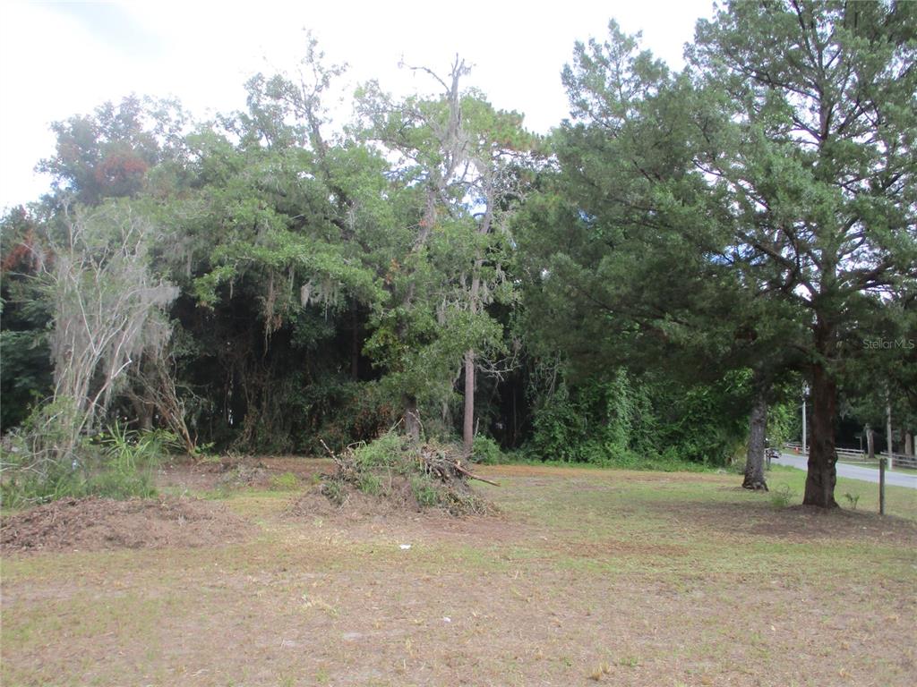 a view of a field with trees in the background