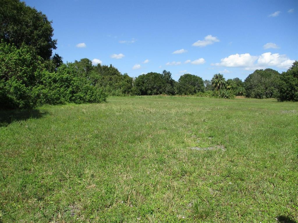 a view of field with lots of trees