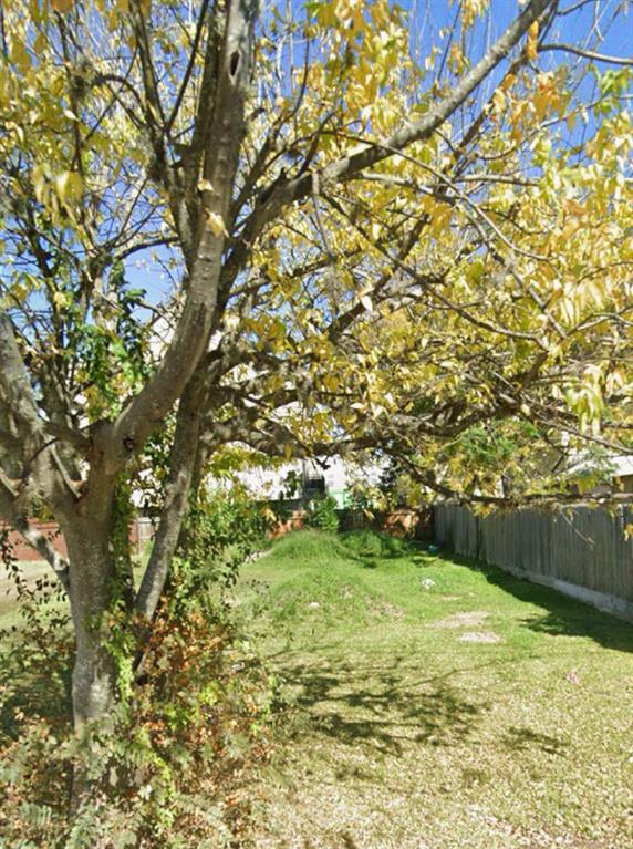 a view of yard with green space