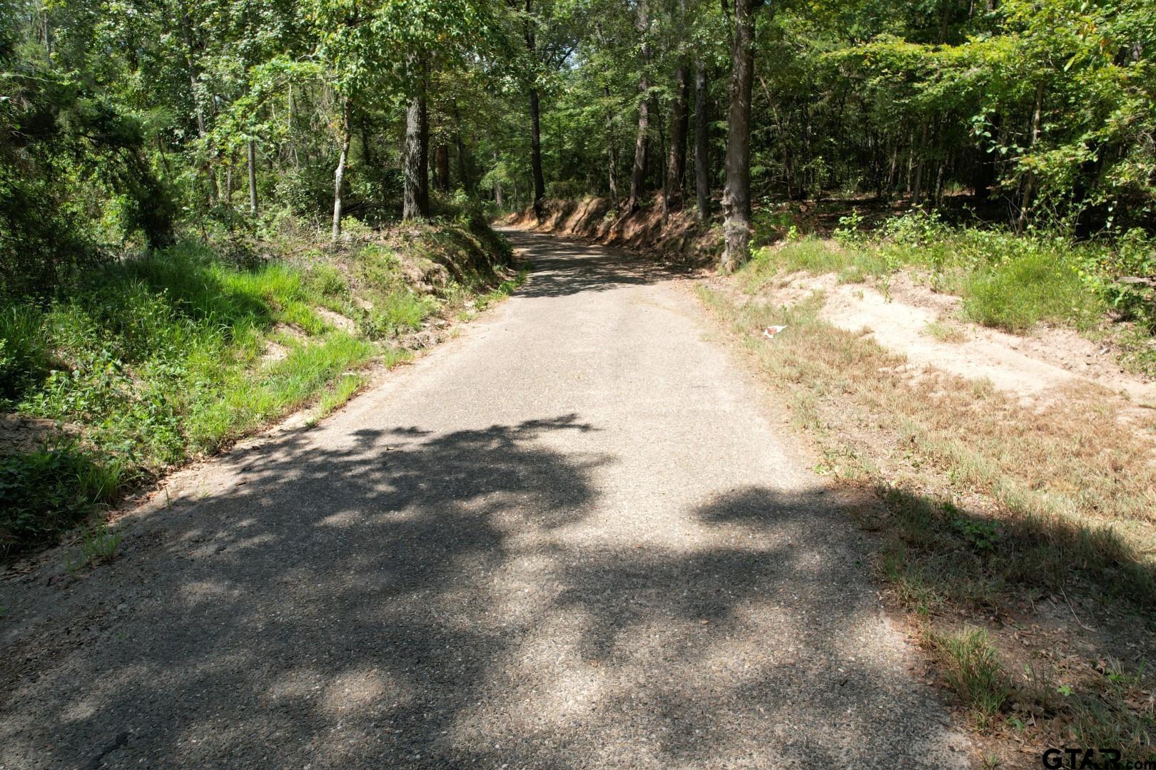 a view of road covered with trees