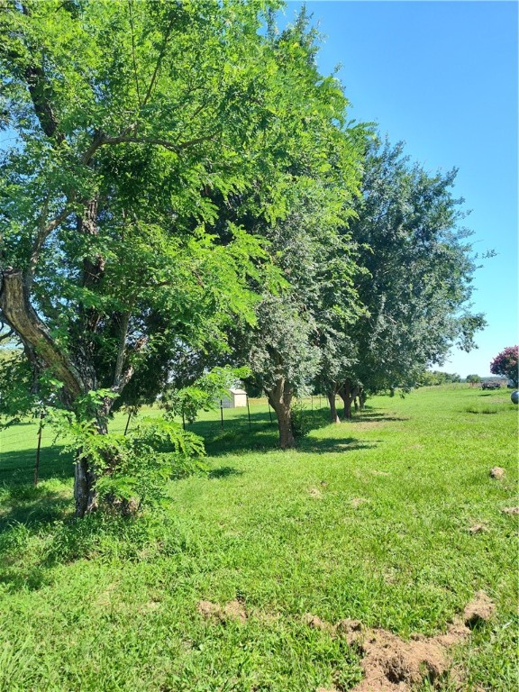 a view of a lush green space