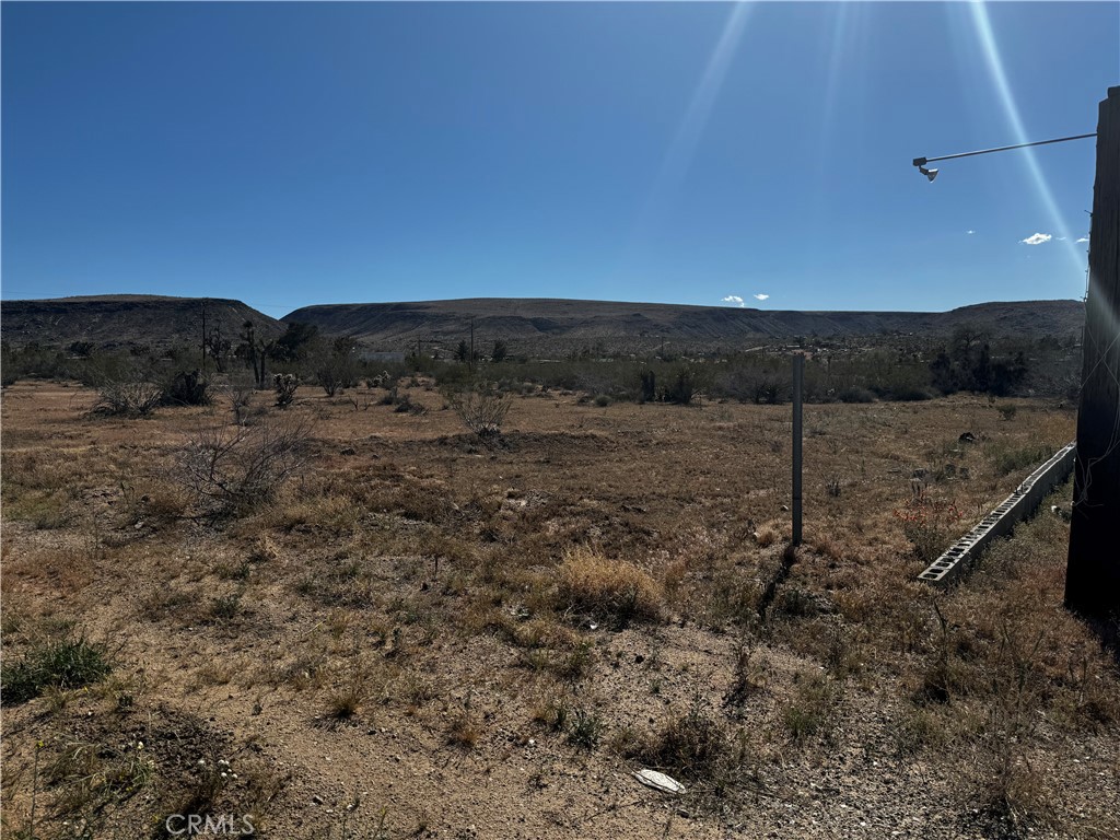 a view of a dry field with trees in background