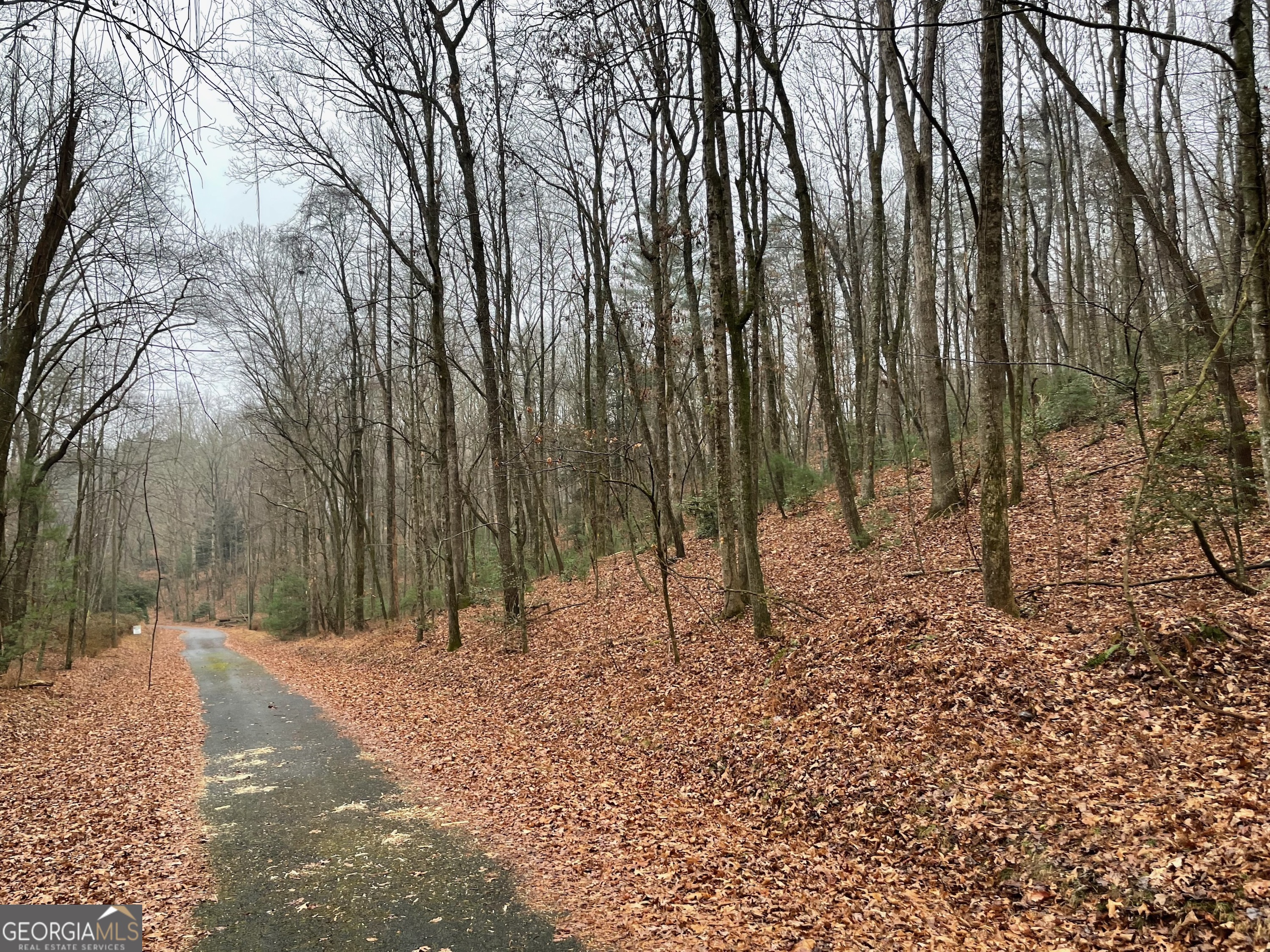 a view of open space with trees