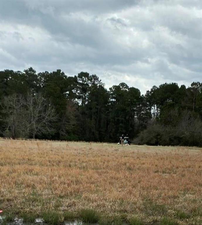 a view of outdoor space