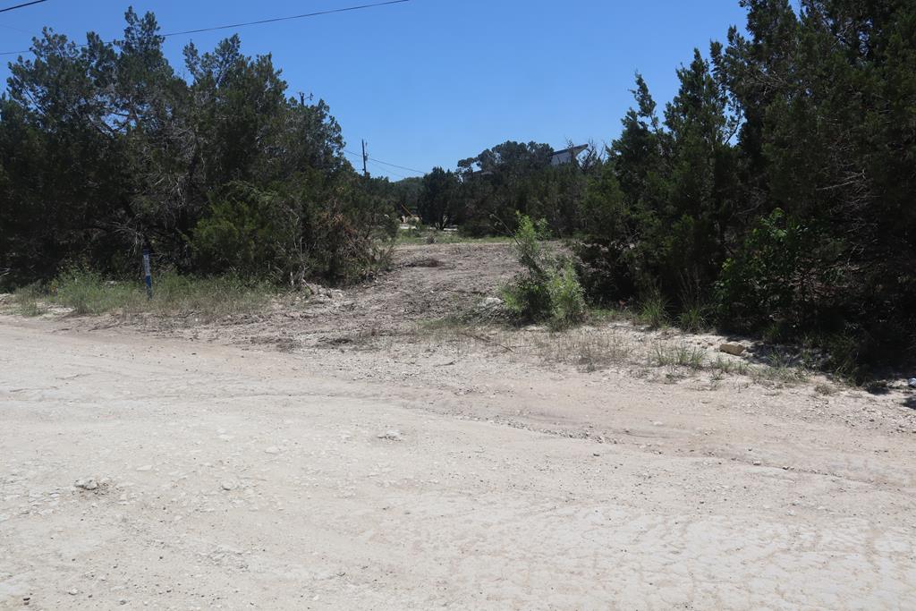 a view of a dry yard with trees in the background