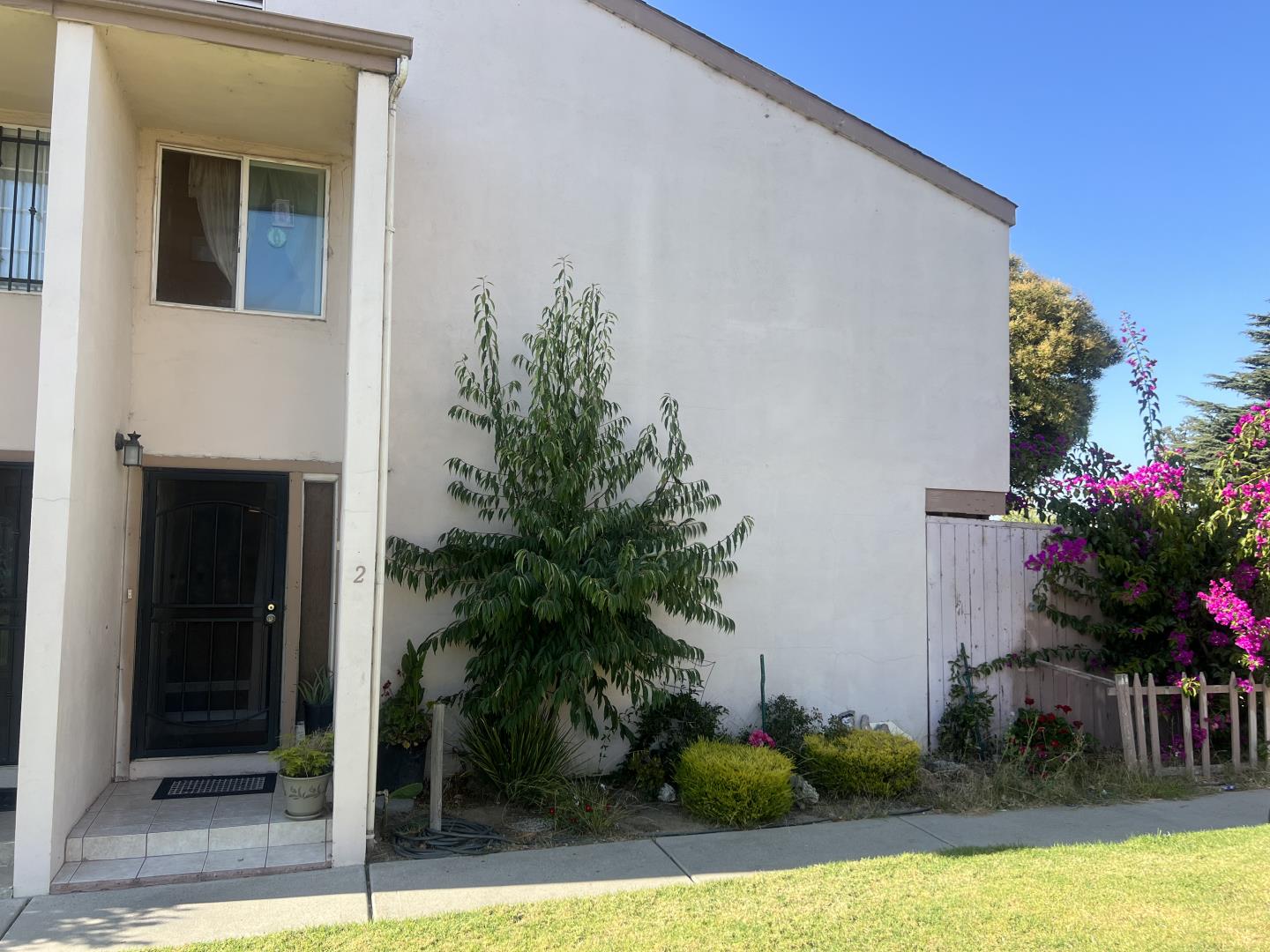 a potted plant sitting in front of a house