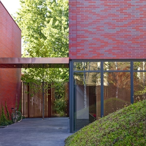 a view of a backyard with a large tree