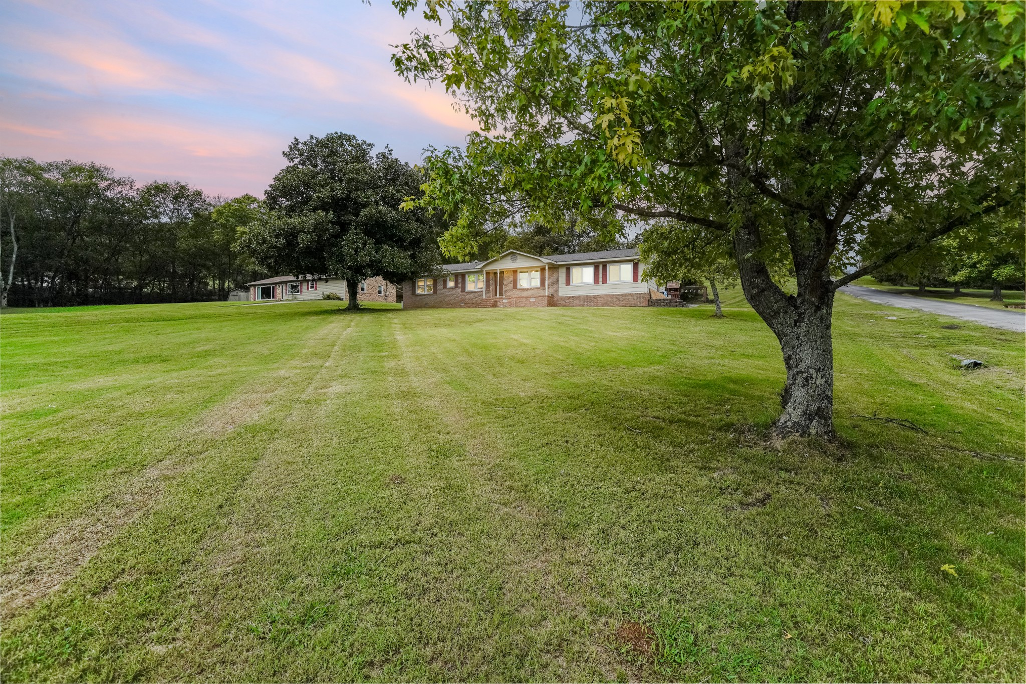 a view of a trees in a yard