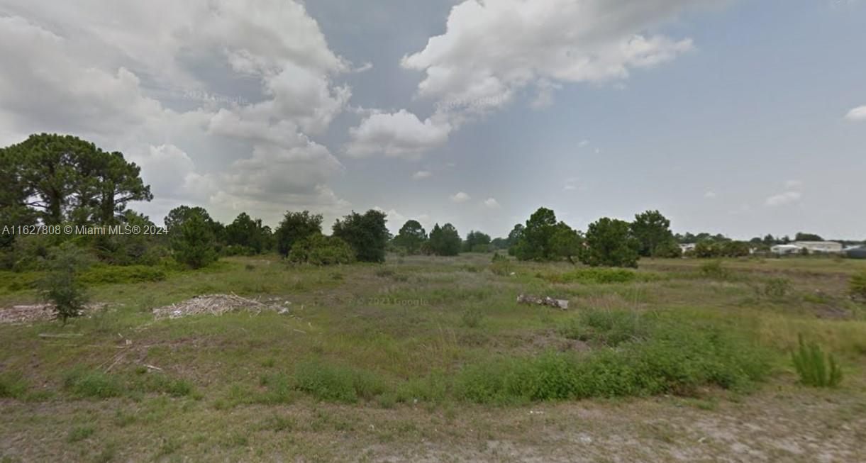 a view of a field with trees in the background