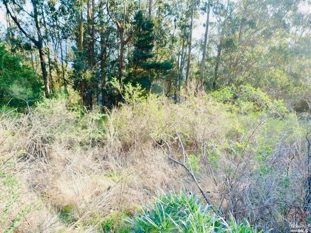 $150,000 | 1245 Shoreline Highway | Tamalpais Valley