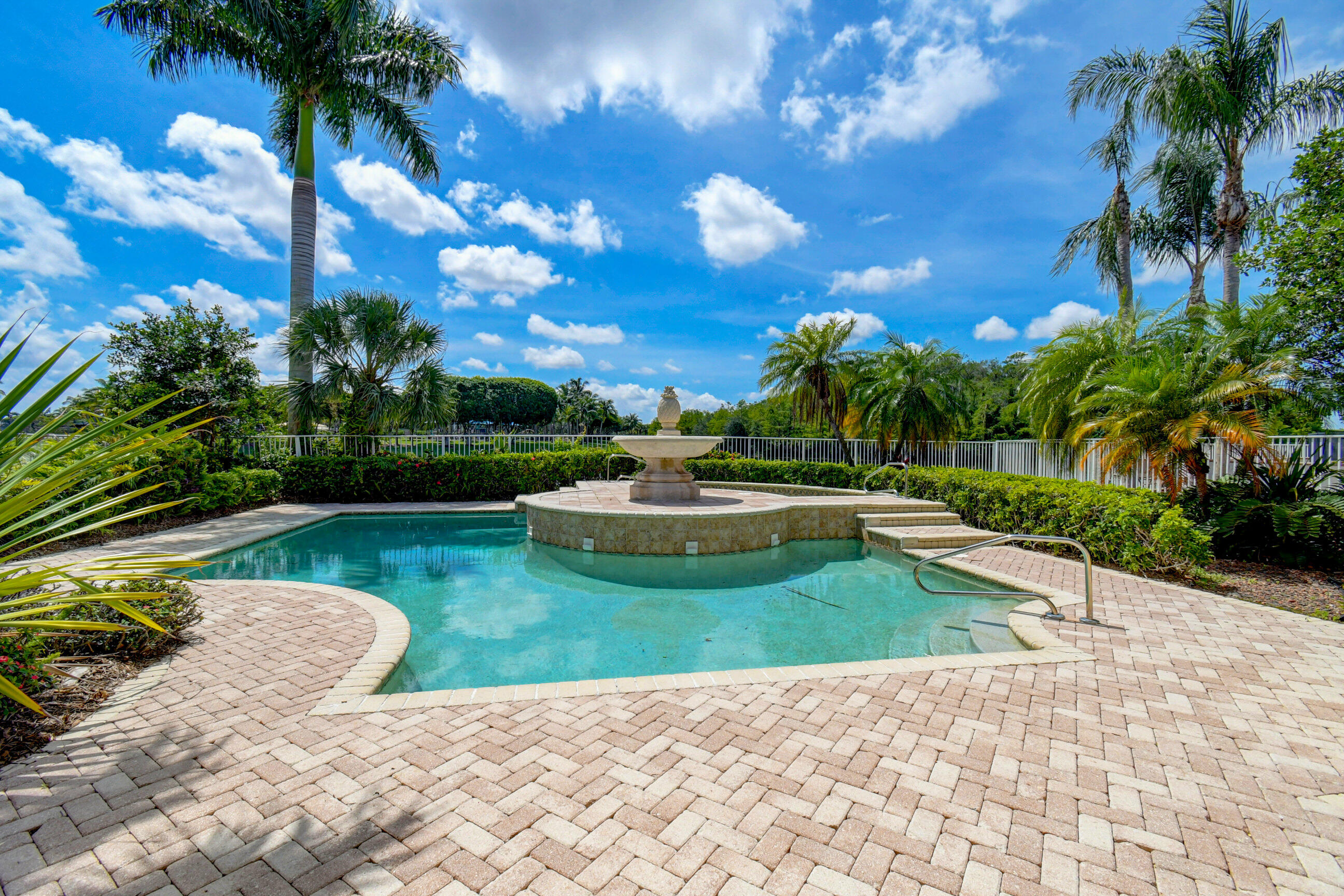 a view of a swimming pool with a garden