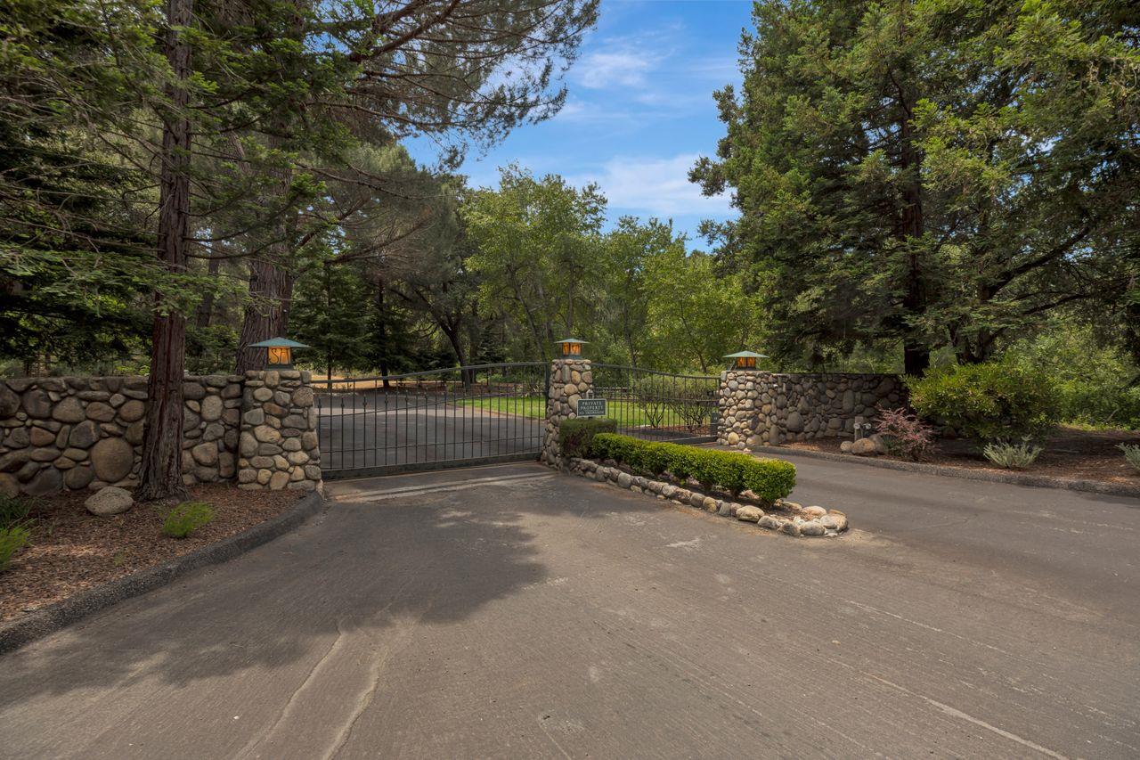 a view of a park with trees