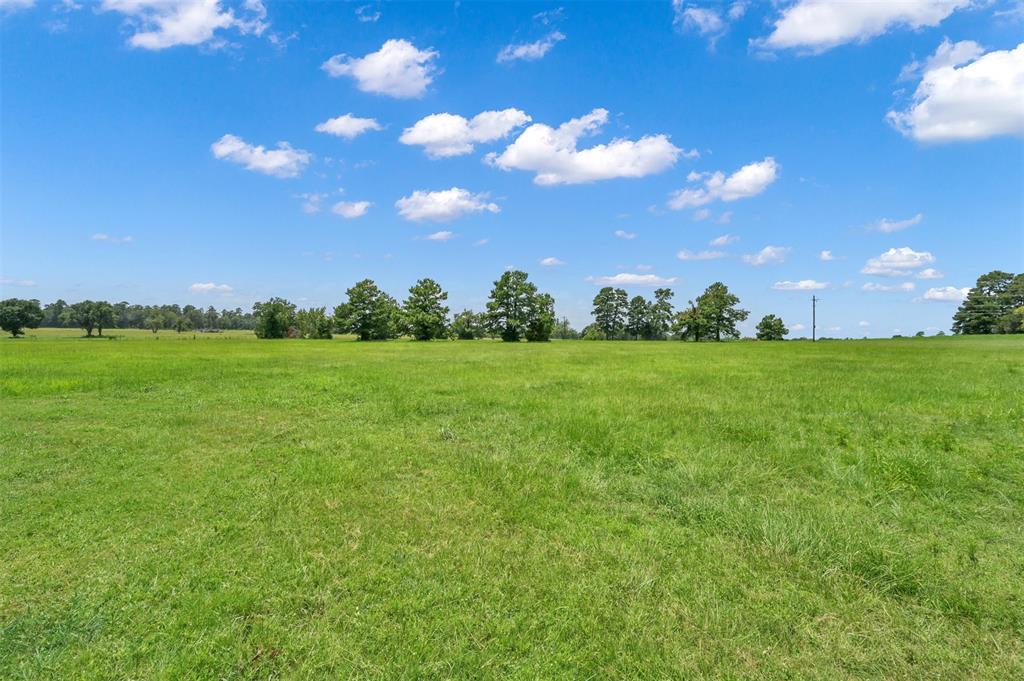 a view of a big yard with a house in the background