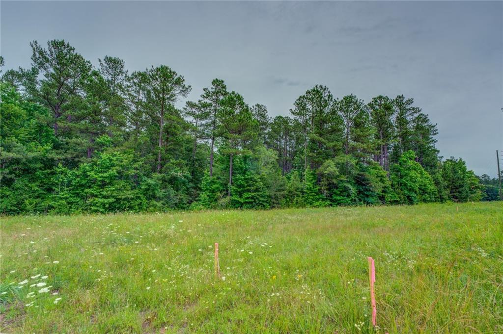 a view of green field with trees in the background