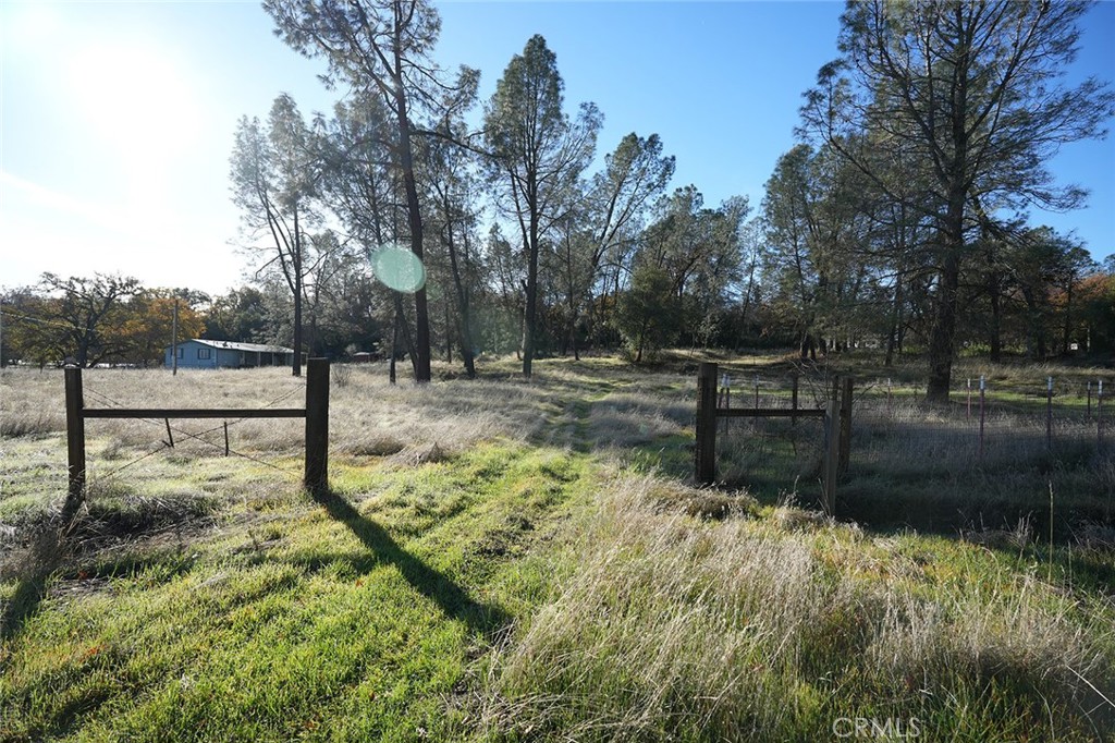 a view of backyard with trees