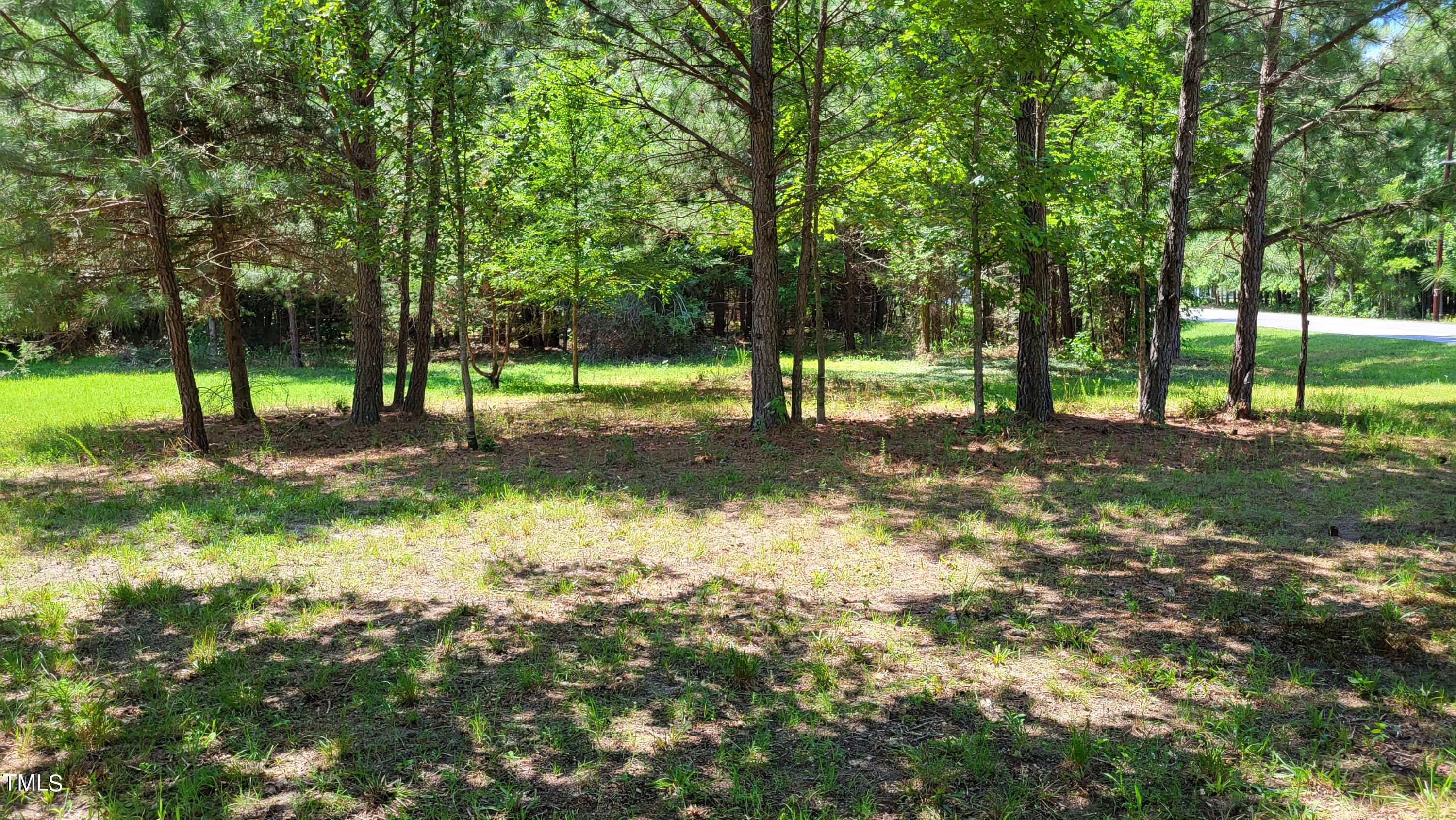 a view of a tree in a yard