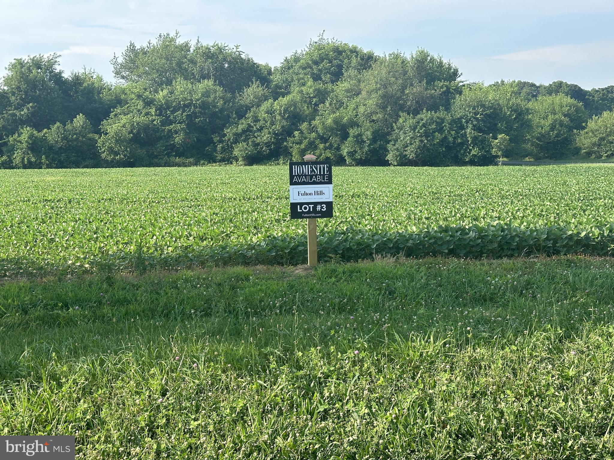 a view of a lush green field