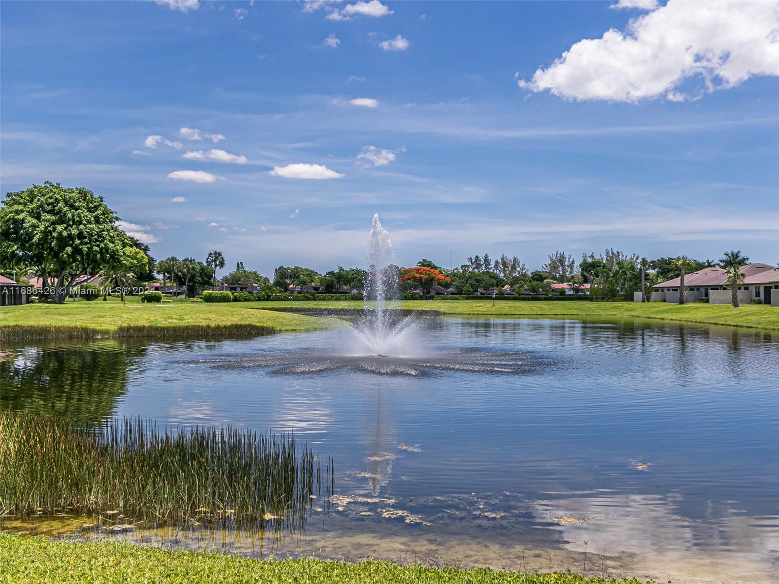 a view of a lake with houses in the background