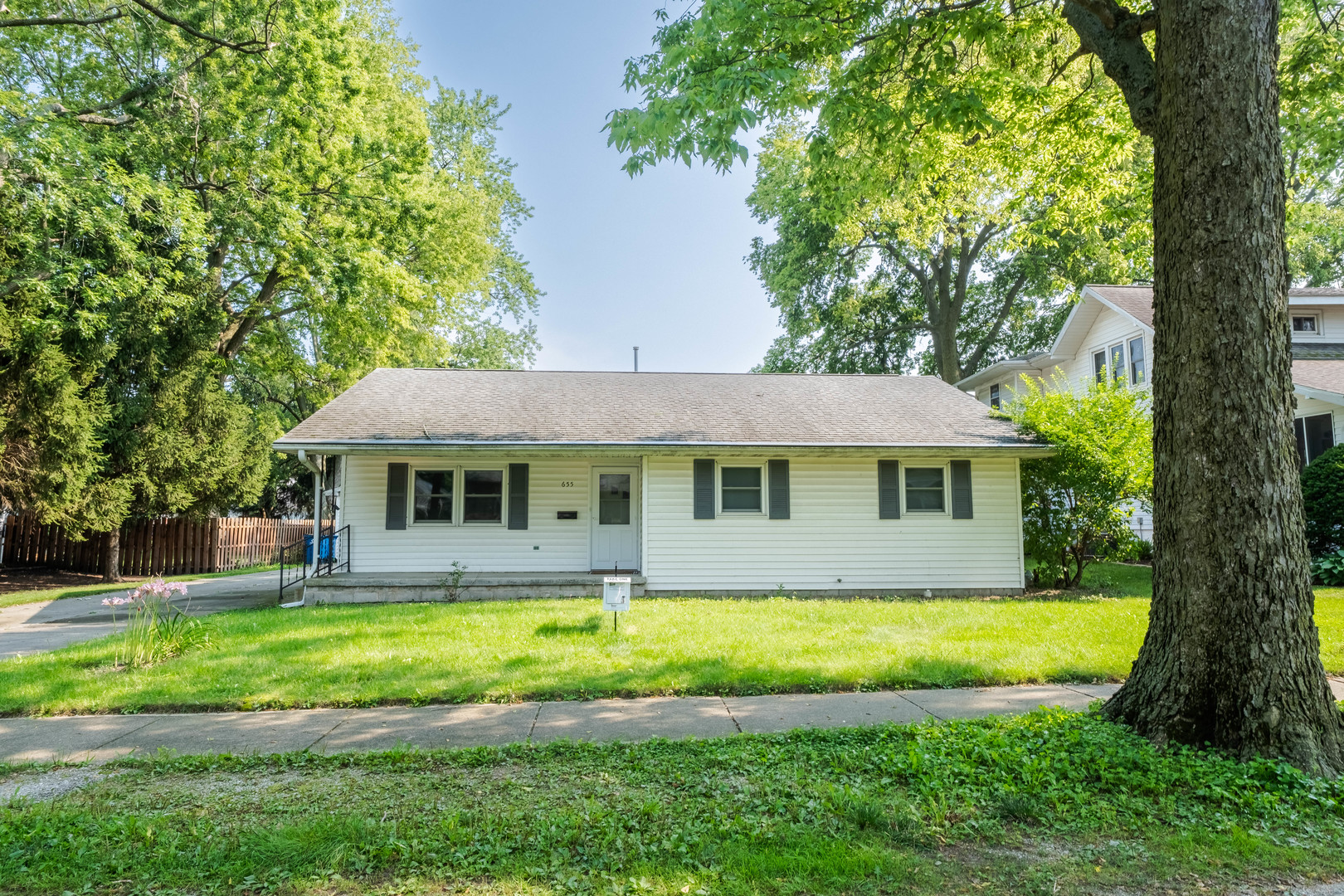 a view of a house with a yard patio and swimming pool