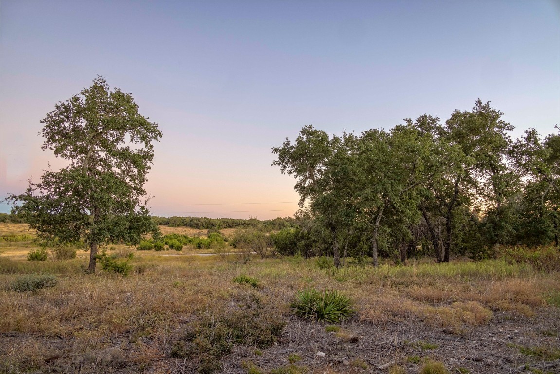 a view of a field with trees in background