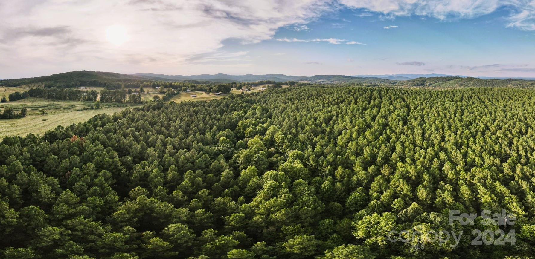 a view of a city with lush green forest