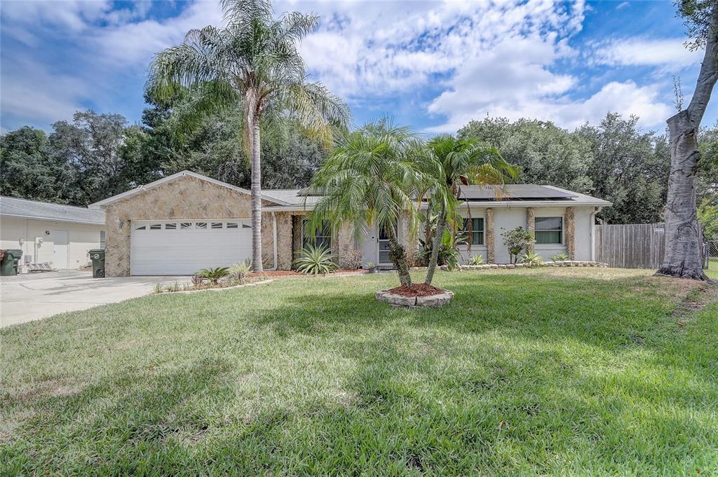 a view of a house with backyard and a tree