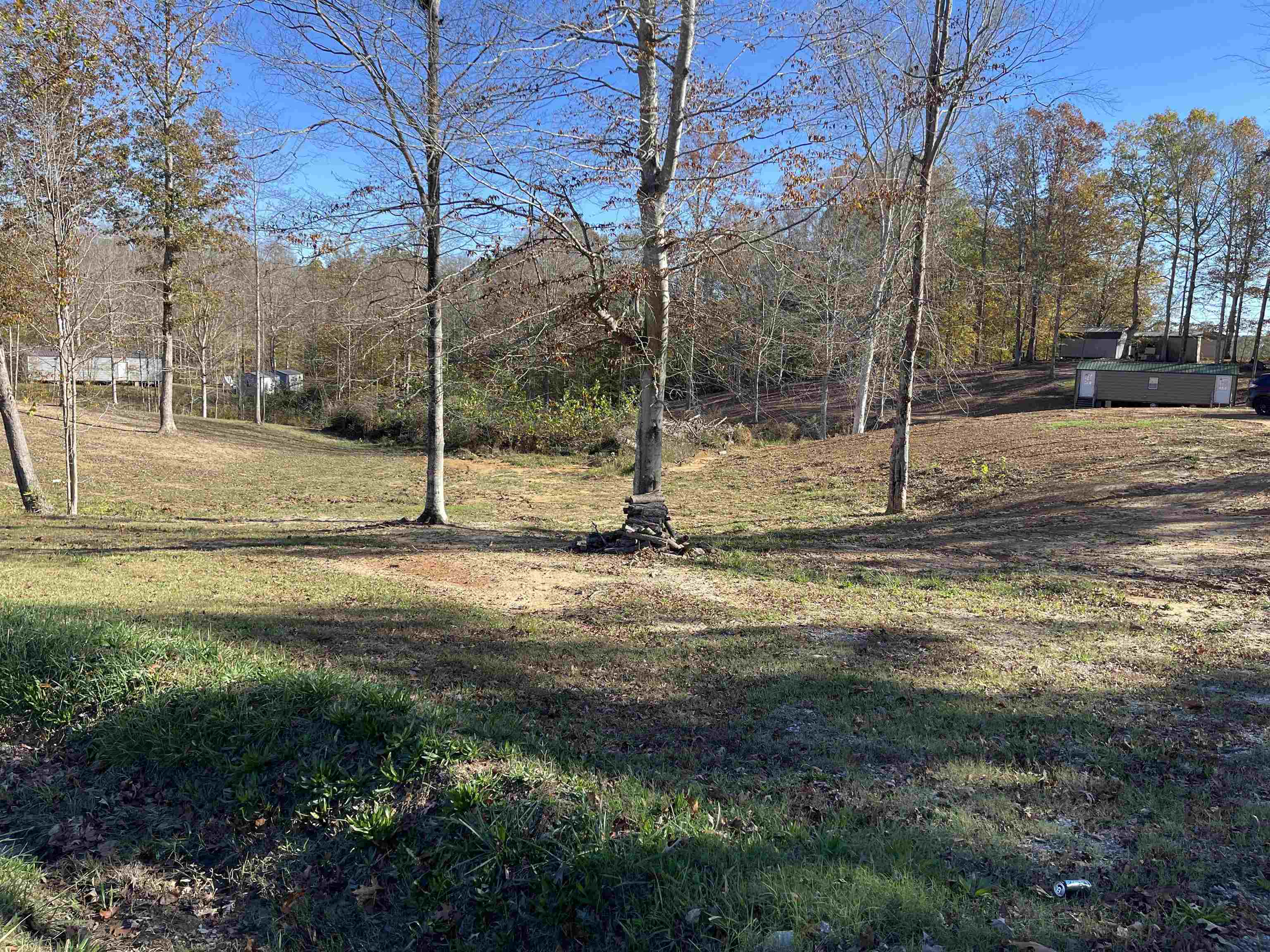 a view of a tree with a yard