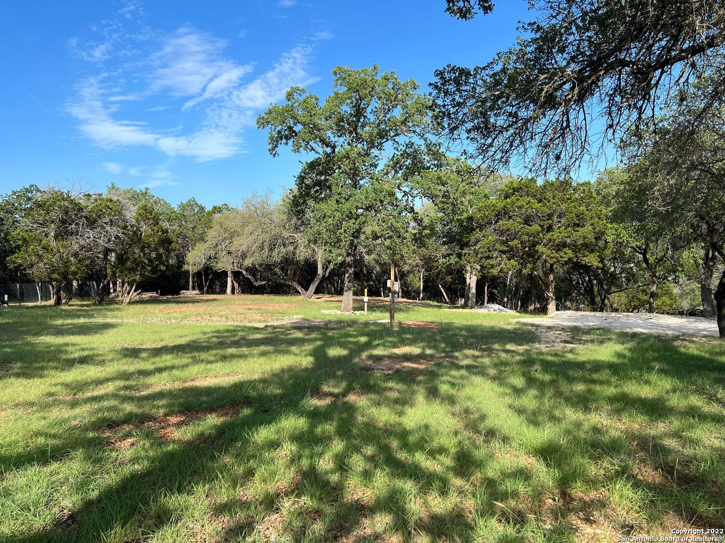 a view of a park with large trees