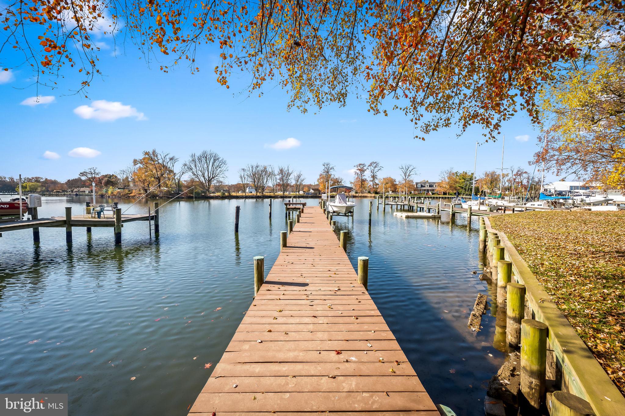 a park with water view and trees