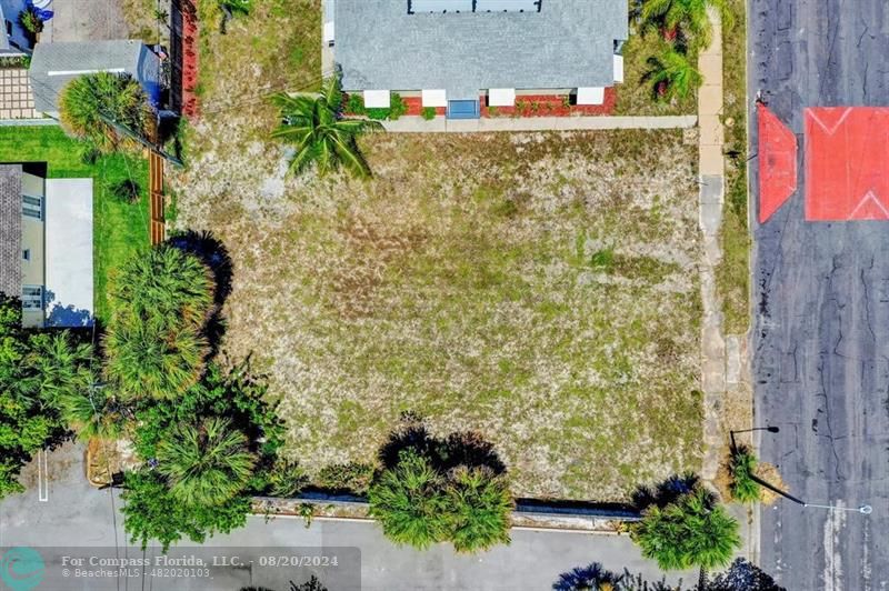 an aerial view of a house with a yard and large trees