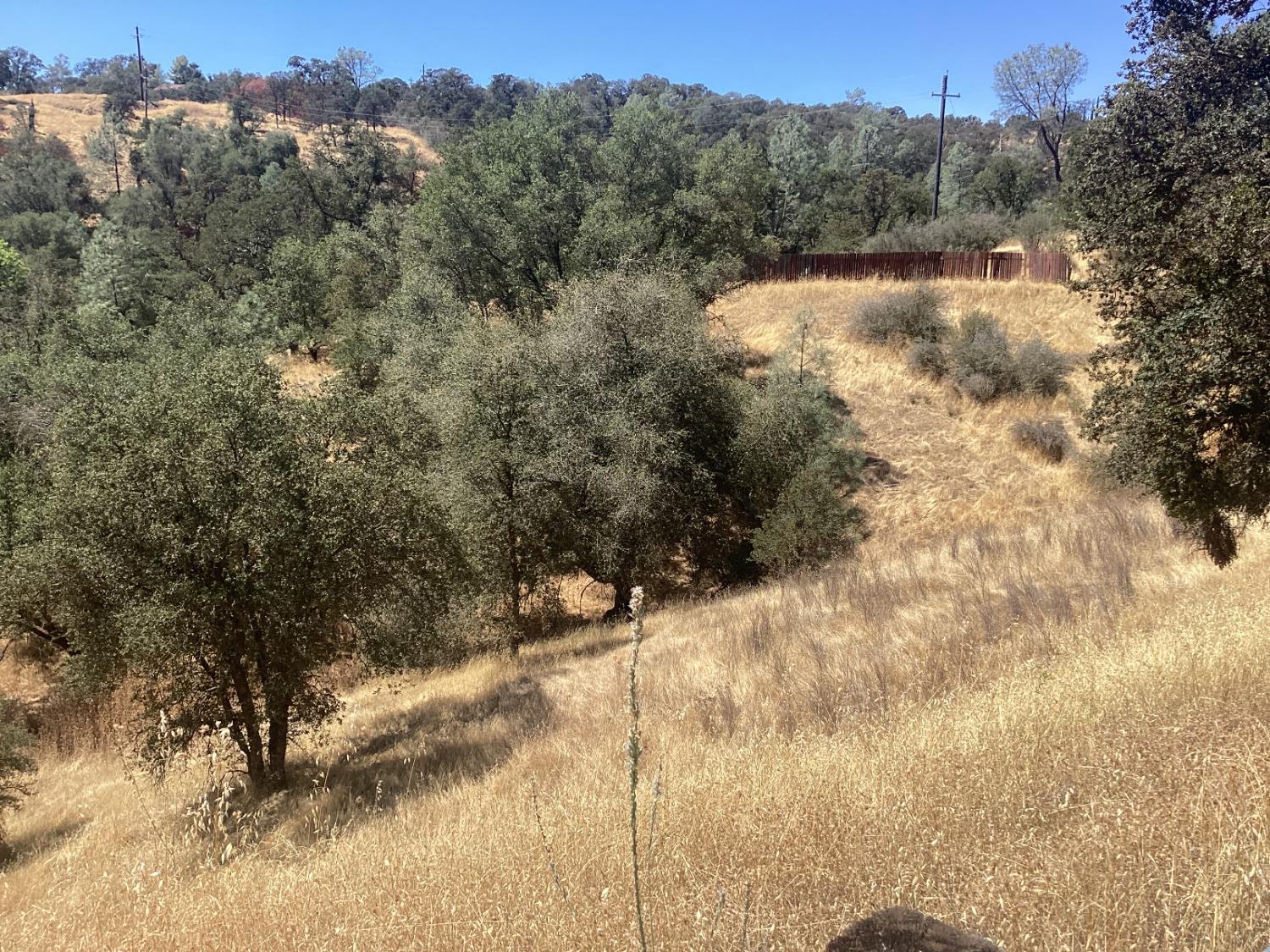 a view of a yard with a tree