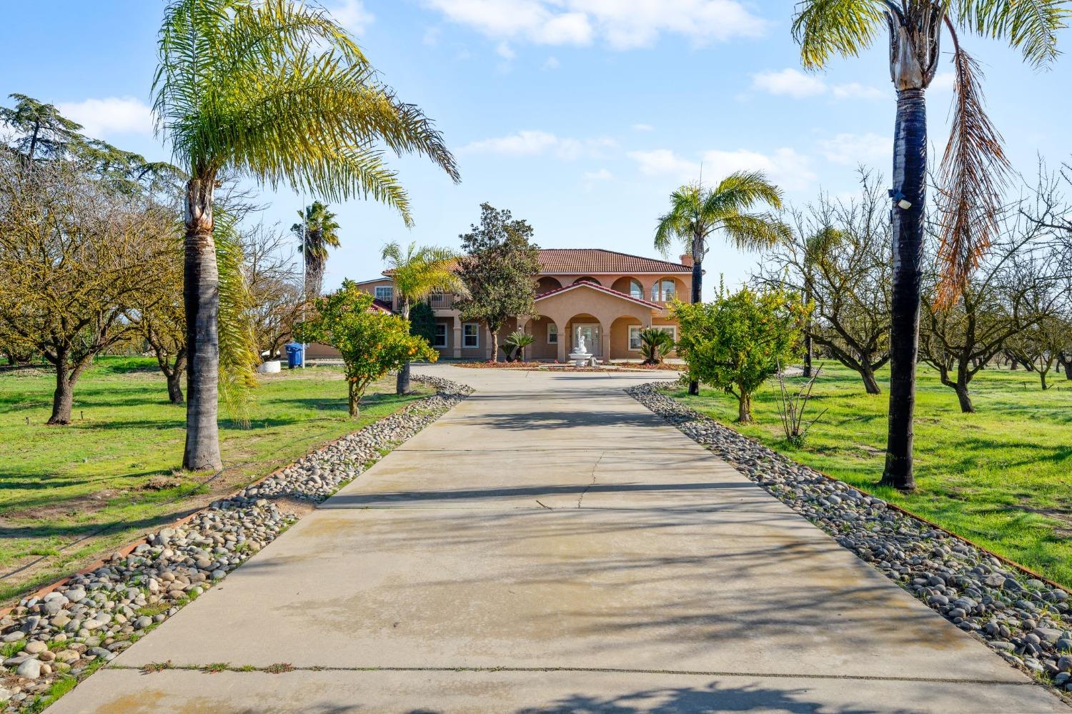 a park with palm trees