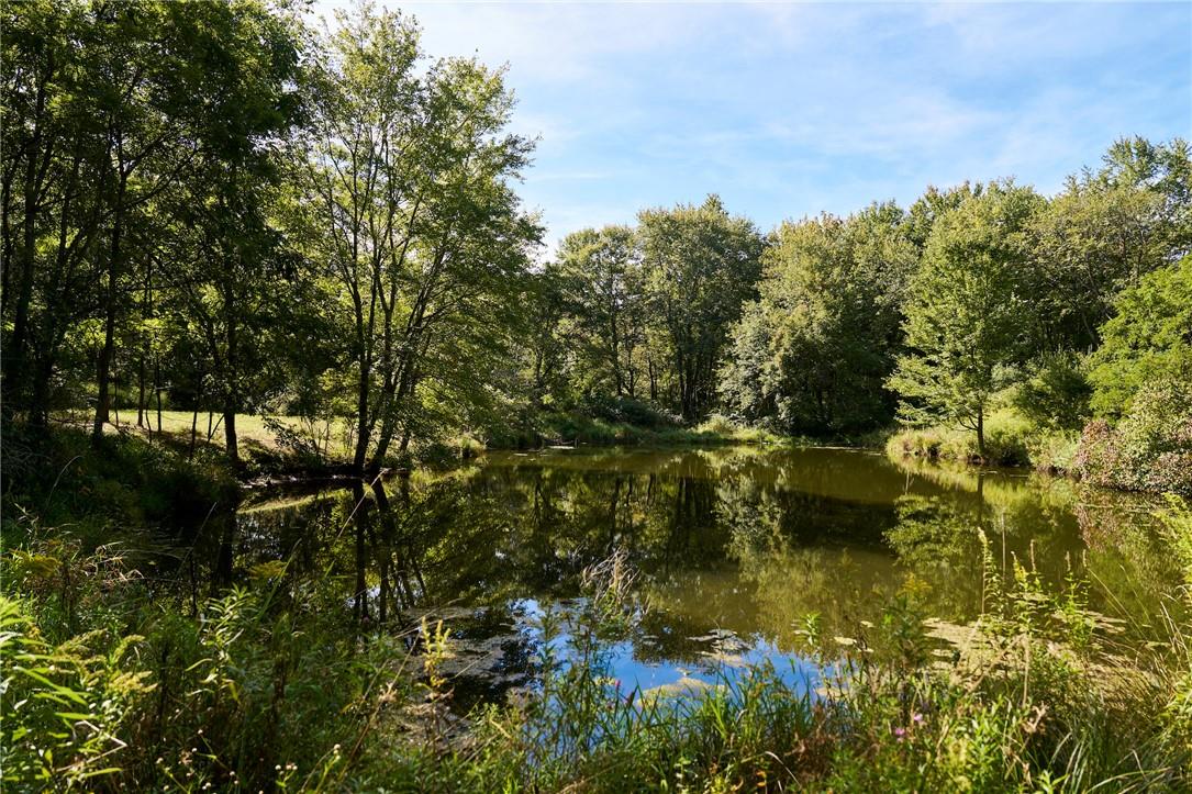 View of Pond